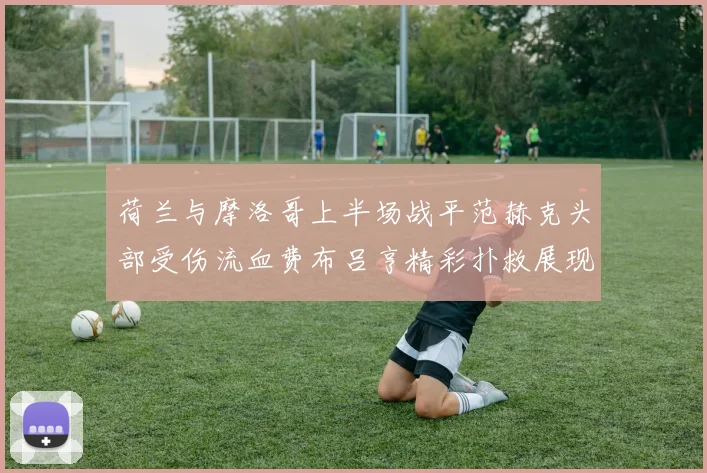 荷兰与摩洛哥上半场战平范赫克头部受伤流血费布吕亨精彩扑救展现实力