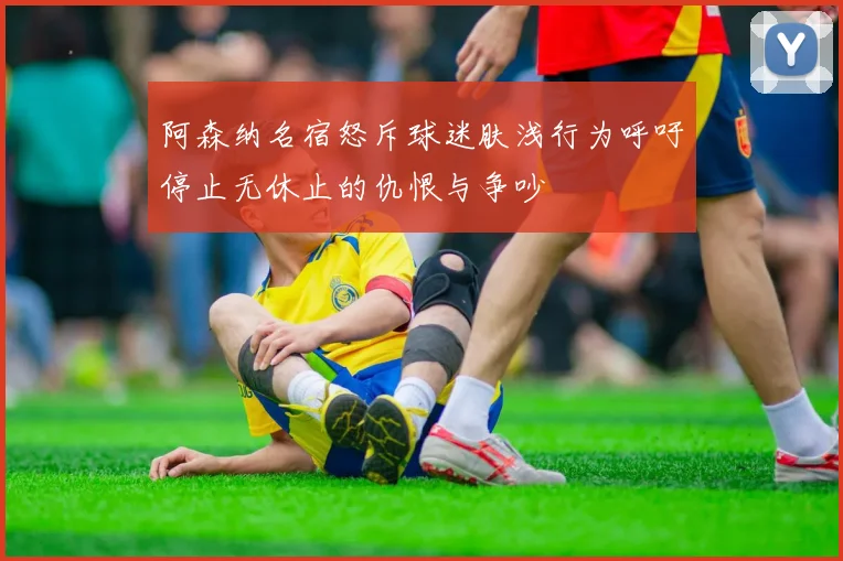 阿森纳名宿怒斥球迷肤浅行为呼吁停止无休止的仇恨与争吵